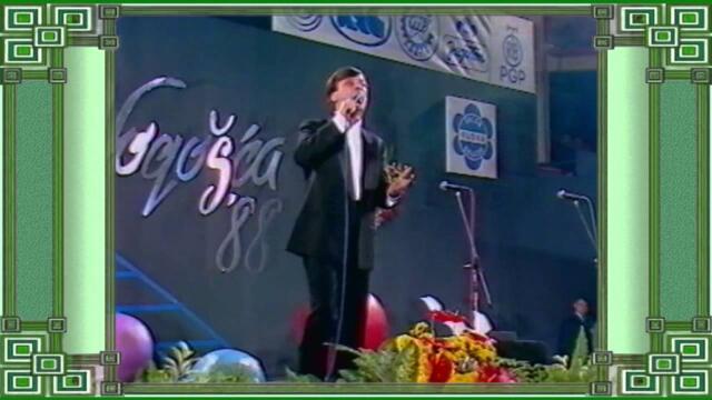 Аз съм такава купонджика HALID  BEŠLIĆ  -  Zaljubljen sam star majko