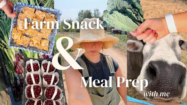 FARM SNACKS & MEAL PREP