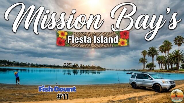 Mission Bay Redemption! Fiesta Island Delivers!🎣 Scrappy Cortez Bonefish & Legal Spotted Bay Bass☀️