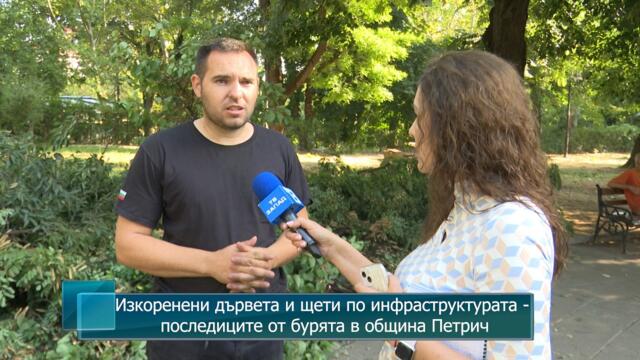 Изкоренени дървета и щети по инфраструктурата - последиците от бурята в община Петрич