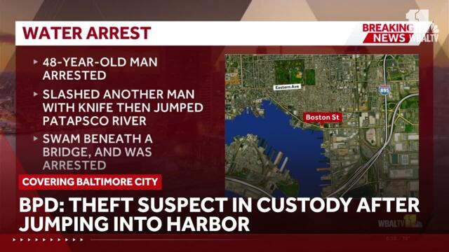 BPD: Theft suspect in custody after jumping into harbor