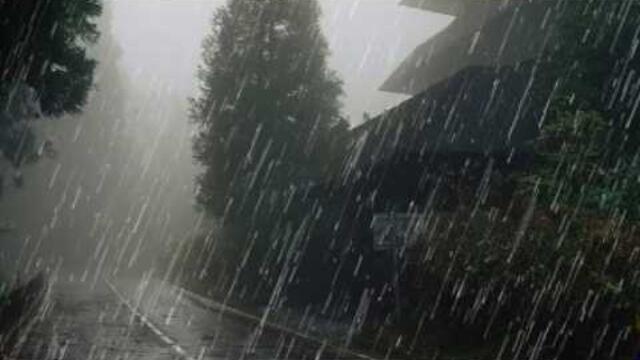 Rain & Thunderstorm 24/7 | Rain Sounds for Sleep & Study (Black Screen)