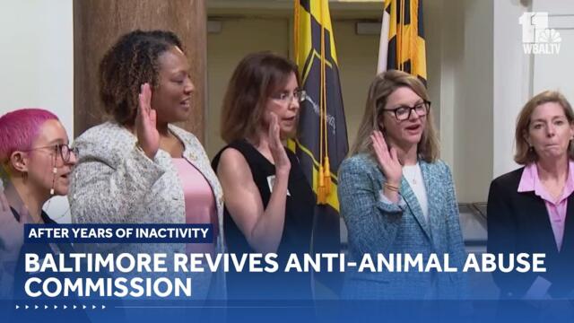 Baltimore revives anti-animal abuse commission after years of inactivity