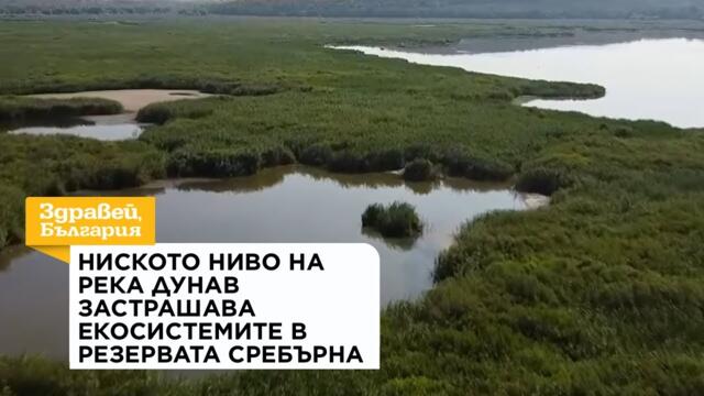 Ниското ниво на река Дунав застрашава екосистемите в резерват „Сребърна“ | 5 авг. 2026