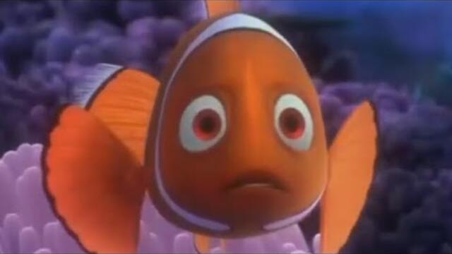 Finding Nemo, but only when Coral is on screen