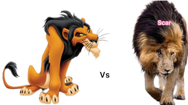 All Lion King Characters in Real Life