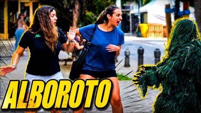Top Funniest Reactions Compilation 2026 | Bushman Prank Universe: The Alboroto Is Over...