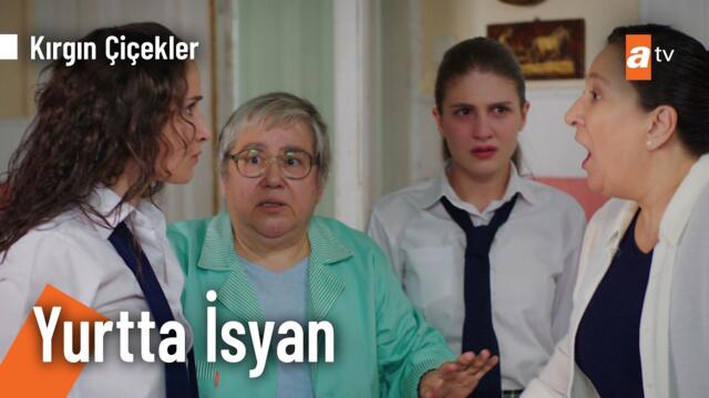Arkadaşlarını, yemek listesi için mi sattın?  - Kırgın Çiçekler Kolaj @KirginCicekler