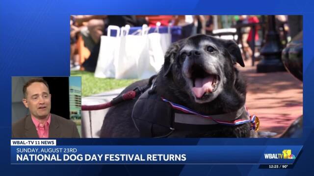 National Dog Day Festival returns at Rotunda Rocks