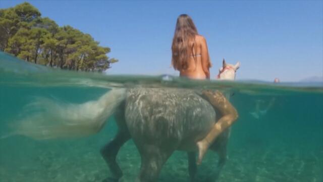 Езда в морето - как хора и животни се разхлаждат в жегите в Хърватска