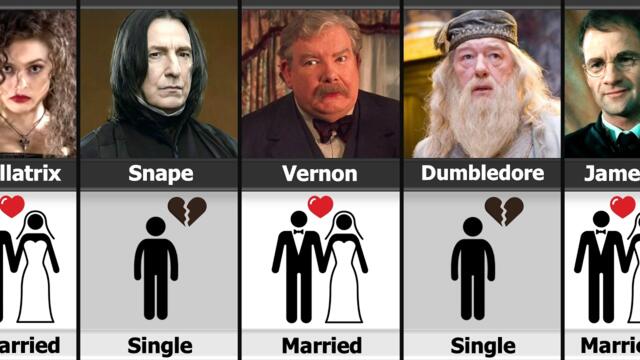Harry Potter Character Single or Married