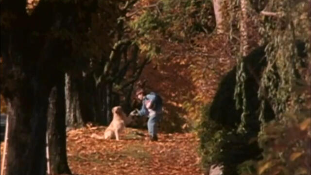 Air Bud / Въздушният Бъд (1997): Трейлър