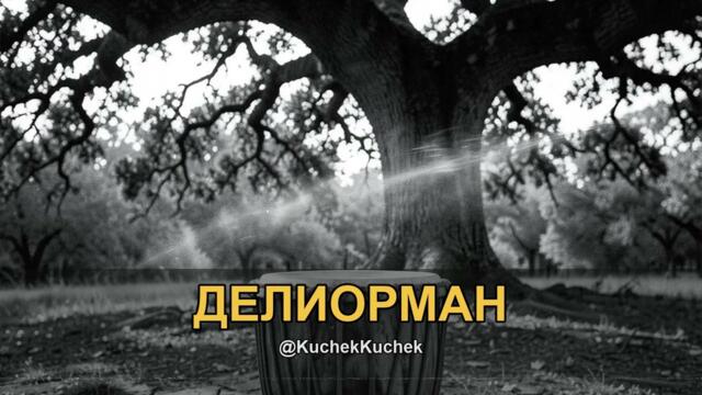 ДЕЛИОРМАН КЮЧЕК | DELIORMAN KUCHEK 2026 | KÖÇEK · ČOČEK