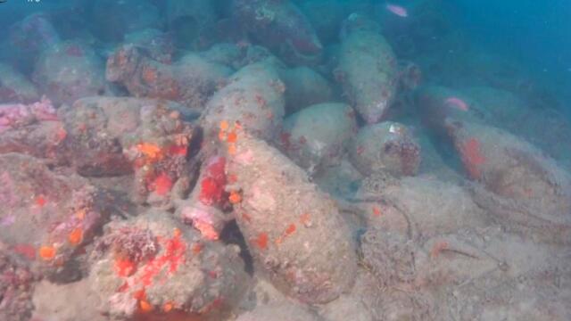 Divers Find Ancient Roman Shipwreck With Hundreds Of Jars