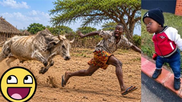Ridiculous – The Funniest Videos That Will Make You Cry Laughing 😂