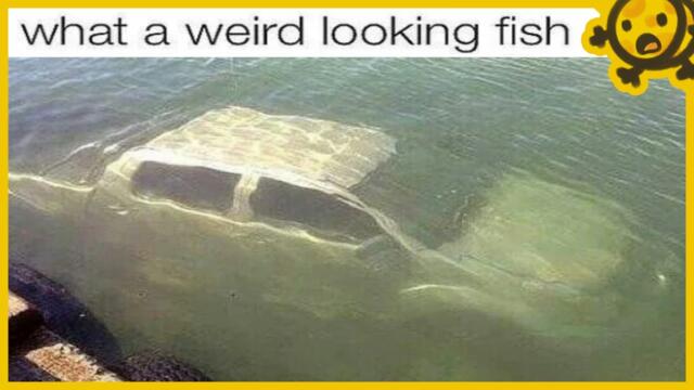 Idiots Laugh At TERRIBLE Parking Jobs