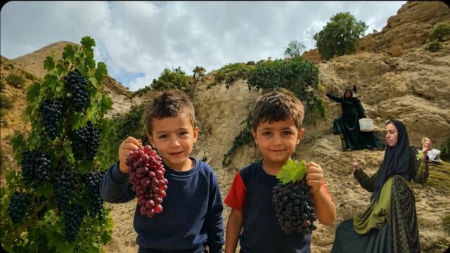 "From mountains to food, Dakkab's adventure in picking grapes⛰️🍇 for her children🥰"