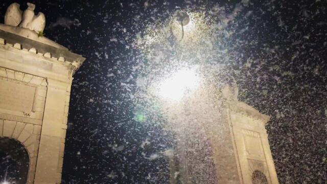 Millions Of Mayflies Swarm Streets Of Pennsylvania City