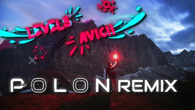 Avicii - Levels ( Polon Remix )
