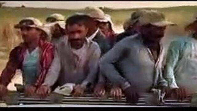 Bog of Beasts | movie | 2007 | Official Trailer
