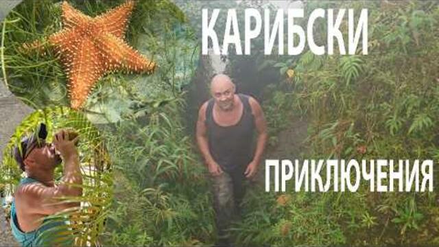 КАРИБСКИ ПРИКЛЮЧЕНИЯ ИЗКАЧВАНЕ НА ВУЛКАН Caribbean Adventures #travelvlog #nature #hiking #forage