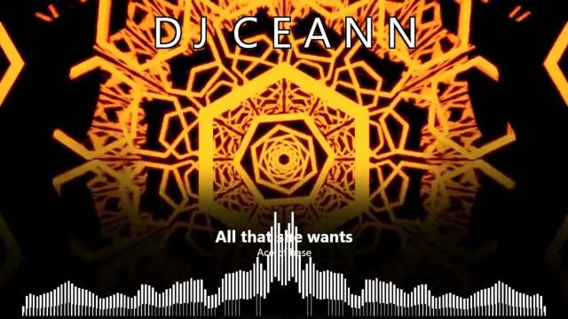Ace of Base - All That She Wants (Remix)