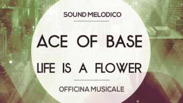 Instrumental Ace of Base-Life is a Flower