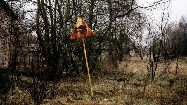Alexey Omelchuk – Swamps of Despair