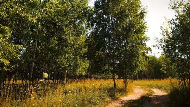 Камен Тодоров – „Под обедната сянка“ (поезия)