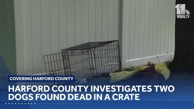 Harford County investigates two dogs found dead in Edgewood crate