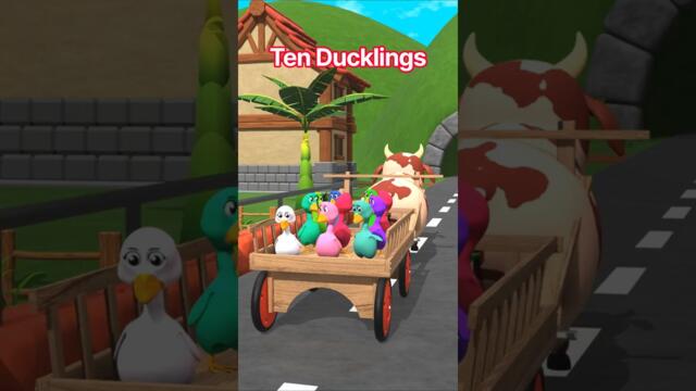 Ten Little Duckies Shorts Song - Super Simple Songs