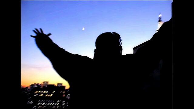 MF DOOM remixes