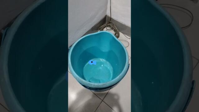 The person who owns this short is a kid + turns off comments on posts