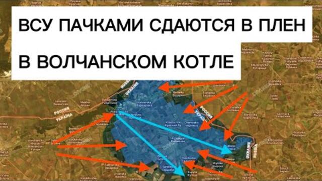 Десятки пленных бойцов ВСУ из Волчанского котла! Военные сводки 10.09.2026