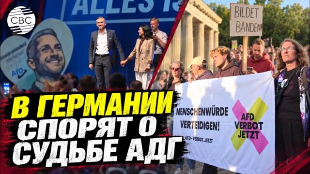 Мерц призвал бороться с ультраправыми политическими методами