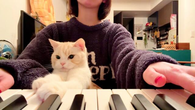 猫踏んじゃった feat.猫