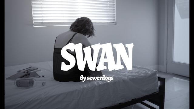 sewerdogs -- Swan [Trip Hop] (2026)
