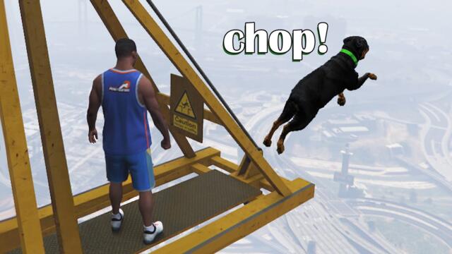GTA memes to watch before GTA 6