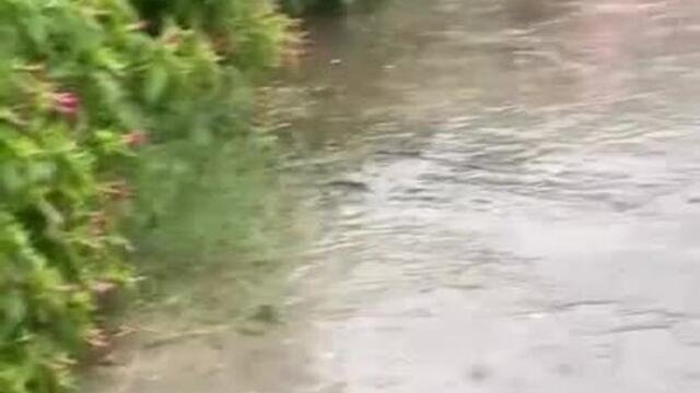 Woman Slips And Falls While Dancing In Rain
