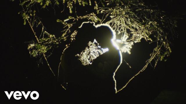 Meshell Ndegeocello, Cat Power - Don't You Want Me (Official Video)