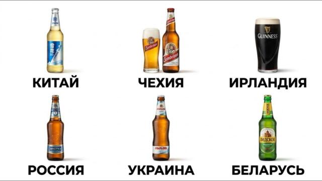 Самое Популярное Пиво в 6 Странах Мира