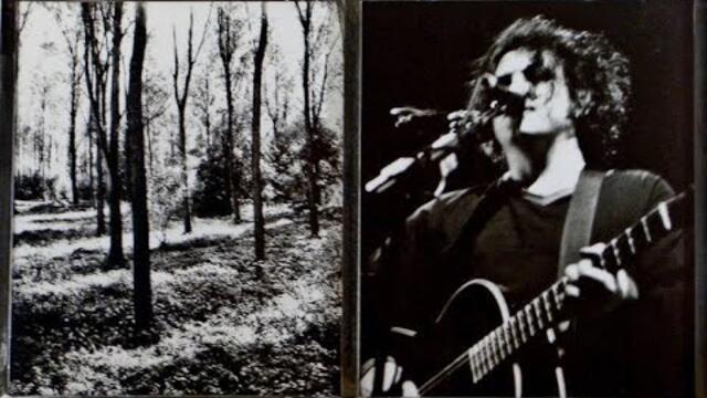The Cure - A Forest (12" Extended Mix) 1980