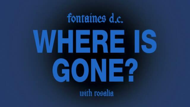 [ПРЕСНО] Fontaines D.C. - Where Is Gone? (с Розалия)
