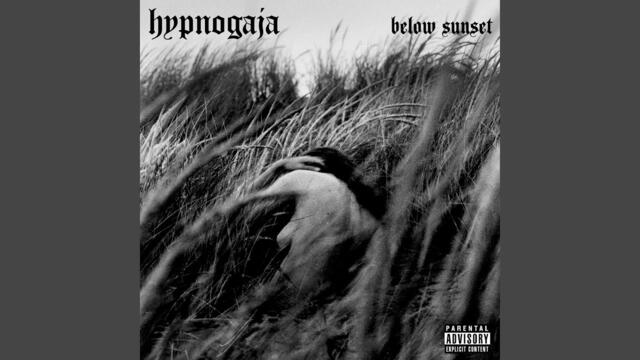 Hypnogaja - Looking Glass [Alternative Rock] (2005)