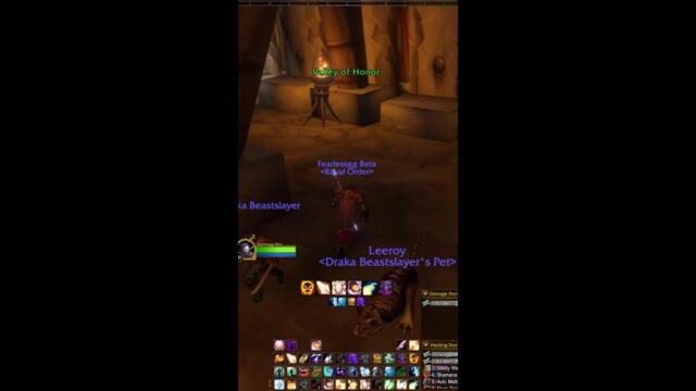 НОВО БГ ДНЕС СВЕТА PvP ПОДЗЕМИЯ И ОЩЕ | World of Warcraft: Forever (Портрет)