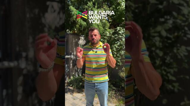 Bulgaria Wants You - Франкфурт: Кариера и живот - Защо в България?