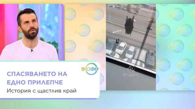 Спасяването на едно прилепче: История с щастлив край | На кафе | 16 окт. 2026