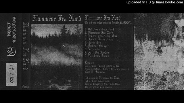 Flammene Fra Nord - Ferd i morke skog (2026, Nor/Swe)