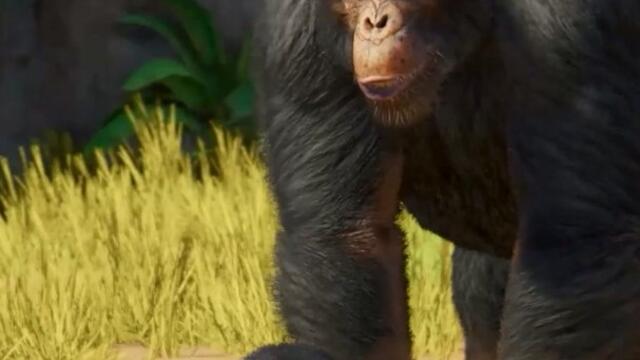 Planet Zoo 2: Това ли е най-добрият симулатор за управление, правен някога?