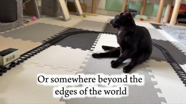 The Little Train to Somewhere